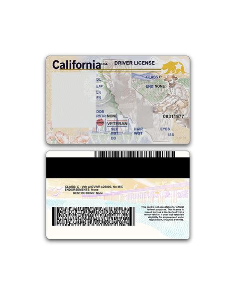 Editable Blank California Driver's License Template