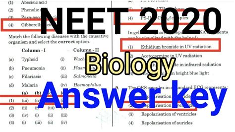 Education 2020 Biology Answers Epub