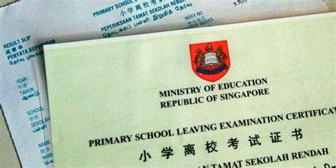 Educational Certificates in Singapore: An Essential Guide