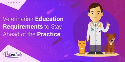 Educational Requirements for Veterinary Technicians in Singapore