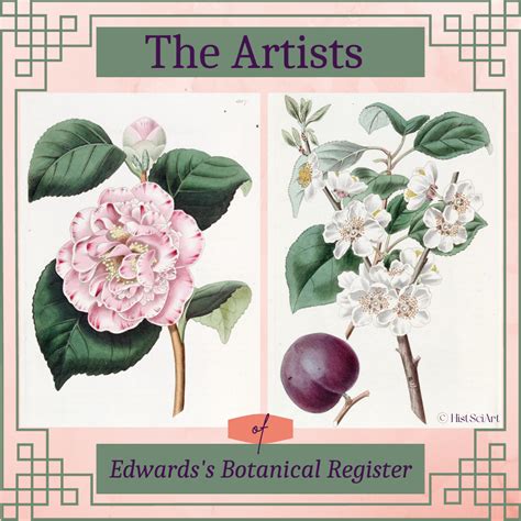 Edwards's Botanical Register Epub