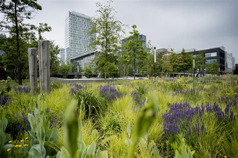 Een Oase van Natuur in de Stad