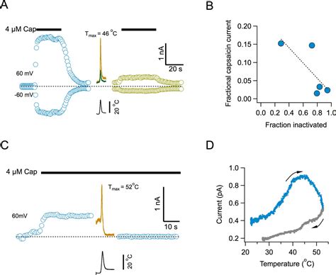 Effect of Cholesterol on Temperature Activation of TRPV1 It is Not as Hot as Before Kindle Editon