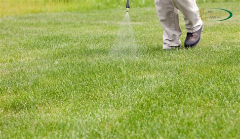 Effective Crabgrass Prevention: