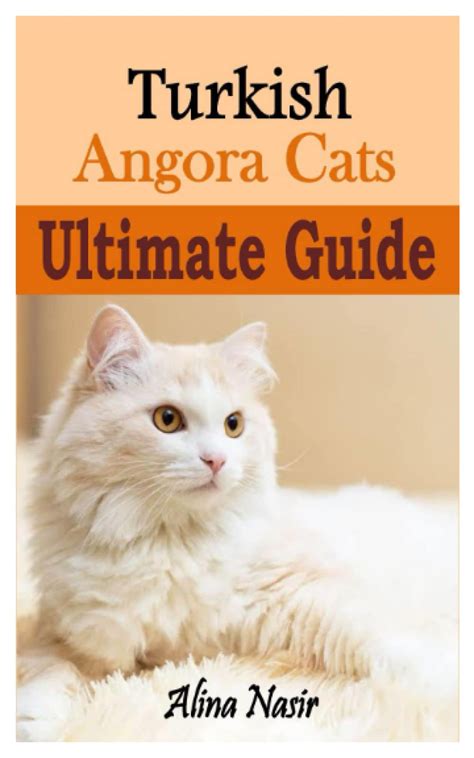 Effective Strategies for Raising a Healthy and Happy Turkish Angora