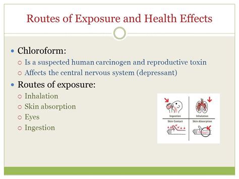 Effects of Chloroform Exposure