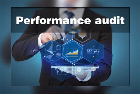 Efficiency and Performance Audit Kindle Editon