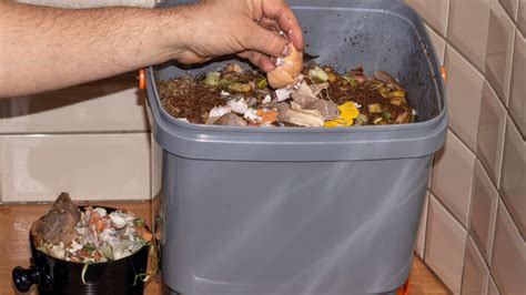 Efficient Composting: