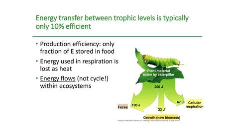 Efficient Energy Transfer: