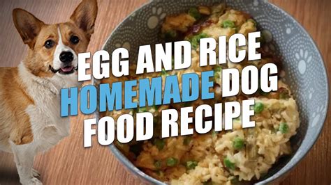 Eggs and Rice for Dogs: A Comprehensive Guide