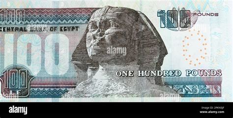 Egypt Currency to INR: A Comprehensive Guide