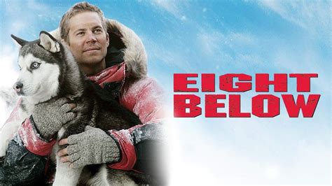 Eight Below Actors: Uncovering the Hidden Figures of the Canine Adventure Saga