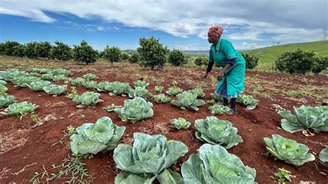 Ekar to Hektar: Unlocking Agricultural Potential and Feeding the Growing Population