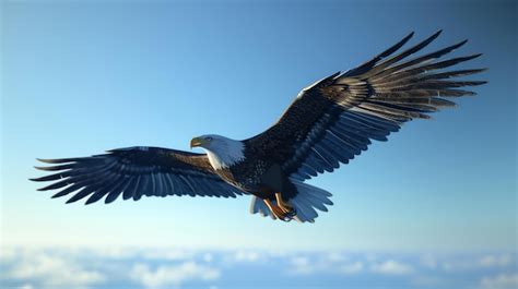 El Águila: The Majestic Symbol of Strength, Freedom, and Courage