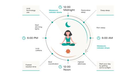 El Ritmo Circadiano: