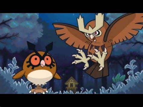 Elaine Noctowl: The Nocturnal Owl Who Conquered the World of Information Technology