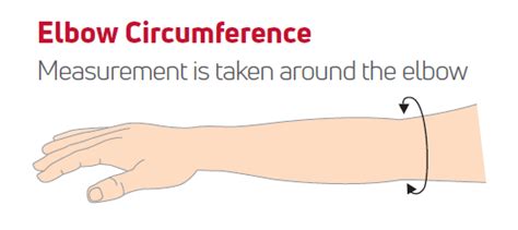 Elbow Circumference Ranges: Unveiling the Ideal Measurements