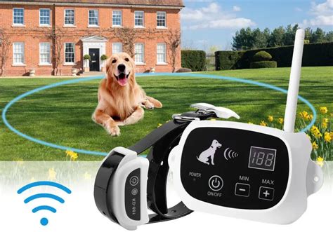 Electric Dog Fences: Empowering Pet Owners with Unseen Boundaries