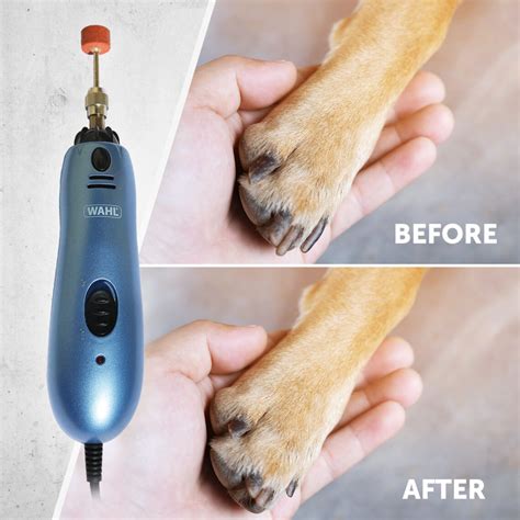 Electric Dog Nail Trimmers: The Ultimate Guide for Pet Parents