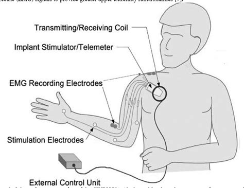 Electrical Stimulation Its Role in Growth Doc