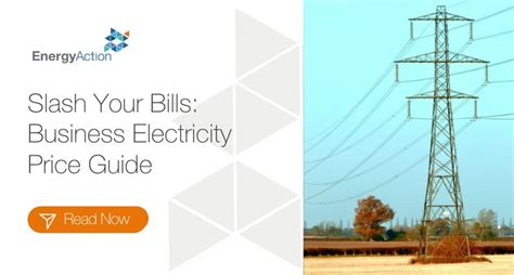 Electricity Rate Singapore: A Comprehensive Guide to Help You Slash Your Bills