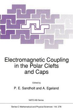 Electromagnetic Coupling in the Polar Clefts and Caps Epub