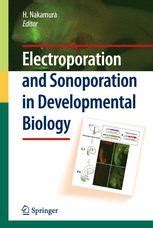 Electroporation and Sonoporation in Developmental Biology 1st Edition Doc