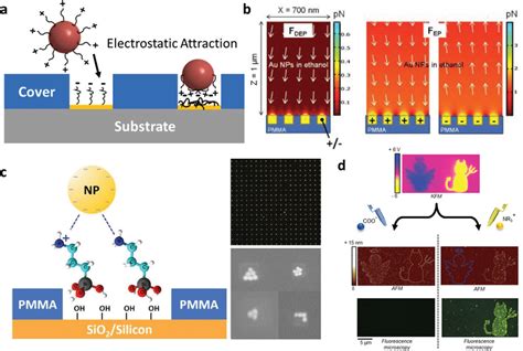 Electrostatic Assembly: