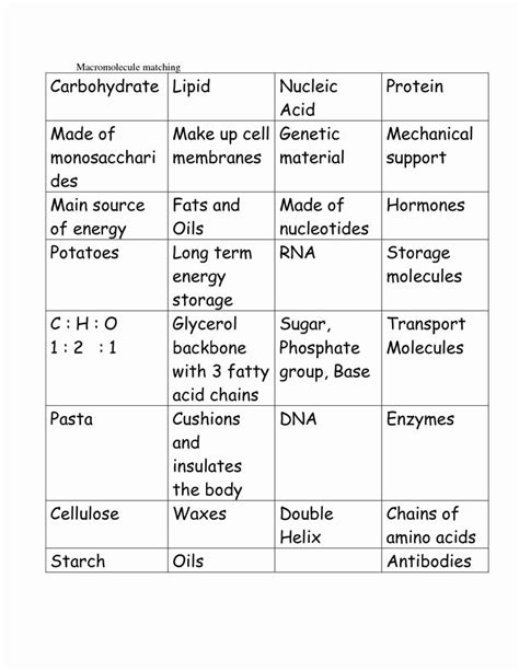 Elements And Macromolecules Answer Key PDF