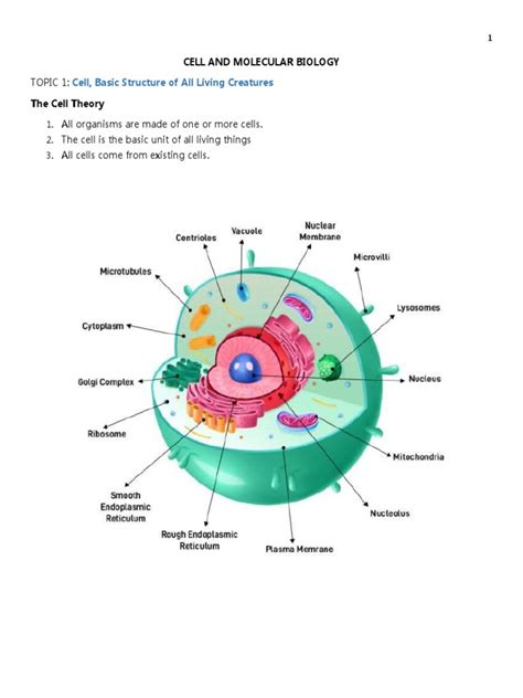 Elements of Cell and Molecular Biology Doc