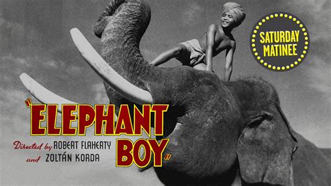Elephant Boys Kindle Editon