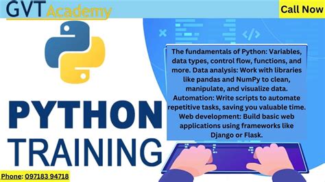 Elevate Your Career with Python: A Comprehensive Guide to Python Courses in Singapore