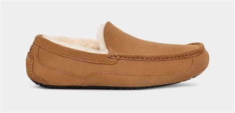 Elevate Your Comfort: The Ultimate Guide to UGG Slippers for Men