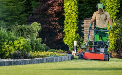 Elevate Your Lawn's Aesthetic Appeal: A Comprehensive Guide to Lawn Edgers