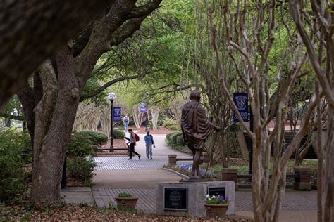 Elevate Your Learning Journey with Course Connect Millsaps