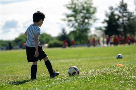 Elevate Your Soccer Game with Adidas Soccer Shorts: A Comprehensive Guide