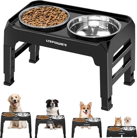 Elevated Bowls for Pets: Enhancing Mealtime Behavior in 2025