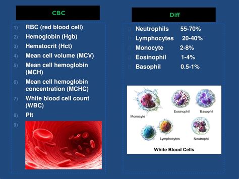 Elevated RBC and Hematocrit: A Guide to Causes, Risks, and Management