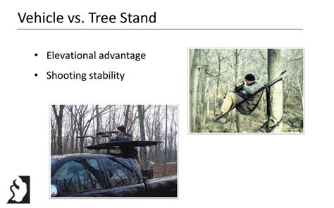 Elevational Advantage: