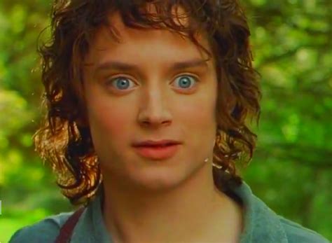 Elijah Wood as Frodo Baggins