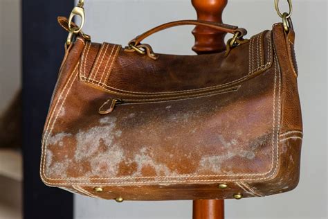 Eliminate Mould from Your Leather Bag: A Comprehensive Guide to 2025