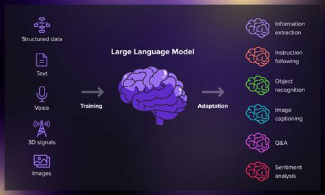 Elise FE: The Versatile Language Model for Diverse Applications