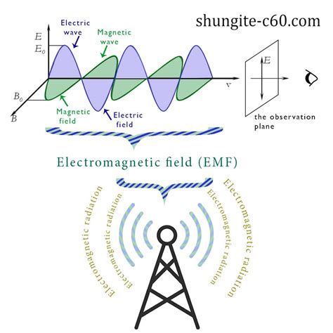 Elite Shungite: The Ultimate Protector Against Harmful Radiation and Electromagnetic Fields