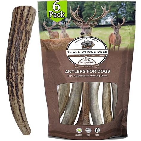 Elk Antlers for Puppies: Unleash the Power of Nature's Teething Aid