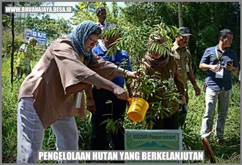 Elly Lasut: Menjaga Hutan Alam untuk Masa Depan Berkelanjutan