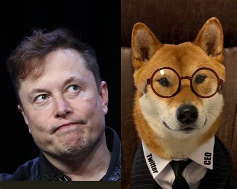 Elon Musk's Dog: The Story of Floki #ElonMusk #Dogecoin #Pets