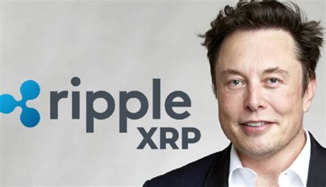 Elon Musk Ripple Projects