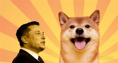 Elon Musk Shiba Inu Coin: Unleashing the Power of Crypto and Shiba Frenzy