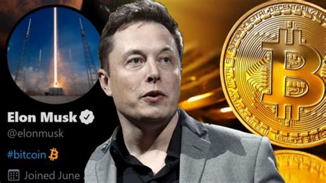 Elon Musk and Bitcoin: A Deep Dive into the Tech Titan's Impact on the Cryptocurrency