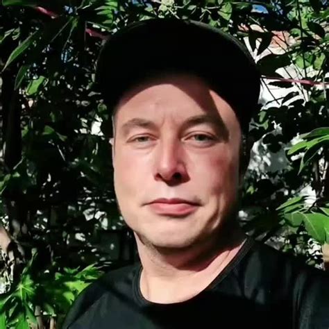 Elon PFP: The Ultimate Guide to Using Elon's Image as Your Profile Picture